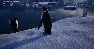 Life of a Penguin
