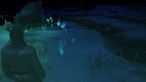 ALASKA - An Endless Night