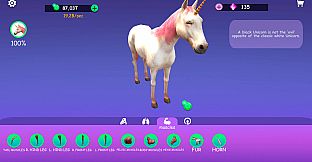 IDLE Animal Anatomy