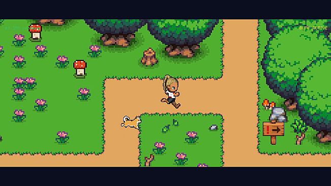 Submission Saga: The Jiu Jitsu RPG