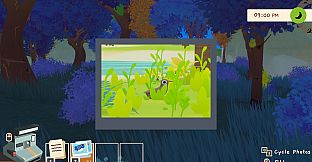 The Birdwatcher's Journal