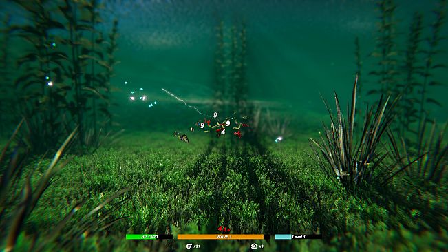 Fish Swarm: Within Inches