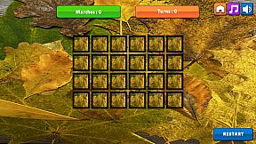 OG Memory:  Fall 2K23