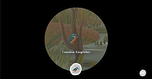 Junior Birder Adventure