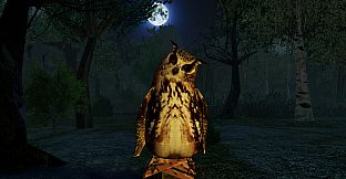 I Hear the Forest
