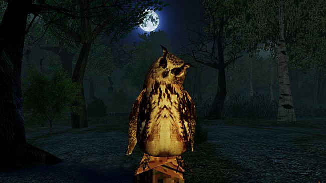 I Hear the Forest