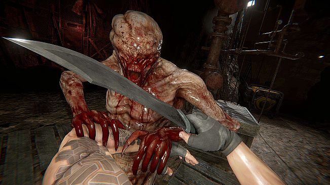 Immortal Legacy: The Jade Cipher[VR]