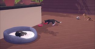 Cat Cafe Simulator