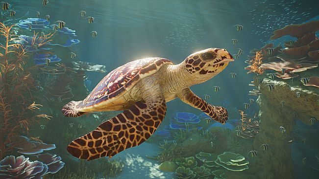 Planet Zoo 2: Deluxe Edition