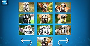 PUZZLE: CATS & DOGS - Puzzle Pack: Summer Dogs