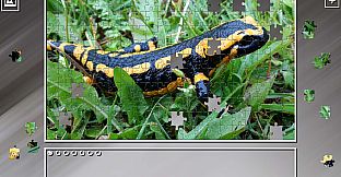 Super Jigsaw Puzzle: Generations - Reptiles