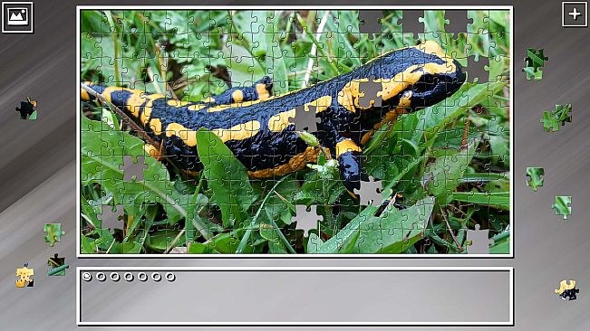Super Jigsaw Puzzle: Generations - Reptiles