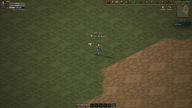 Arena Medieval