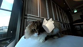 Touchly Volumetric VR Video Player