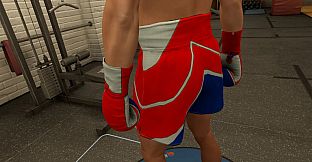 The Thrill Of The Fight 2 - Memorial Day 2026 Shorts
