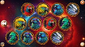 Space Memory: Parrots