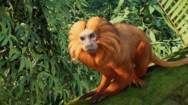 Planet Zoo 2: Deluxe Edition