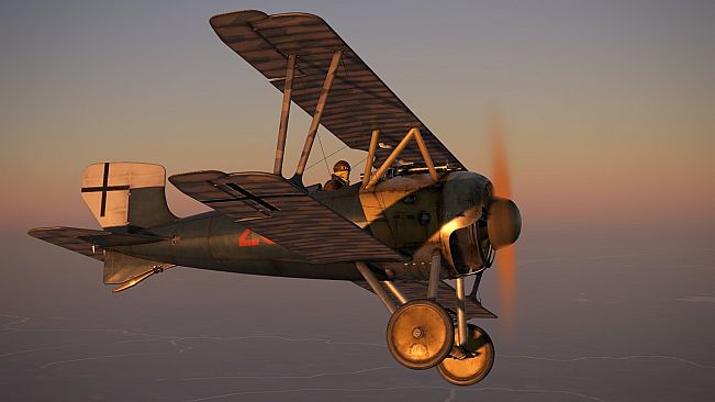 IL-2 Sturmovik: SSW D.IV Collector Plane