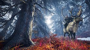 Discovery Tour: Viking Age