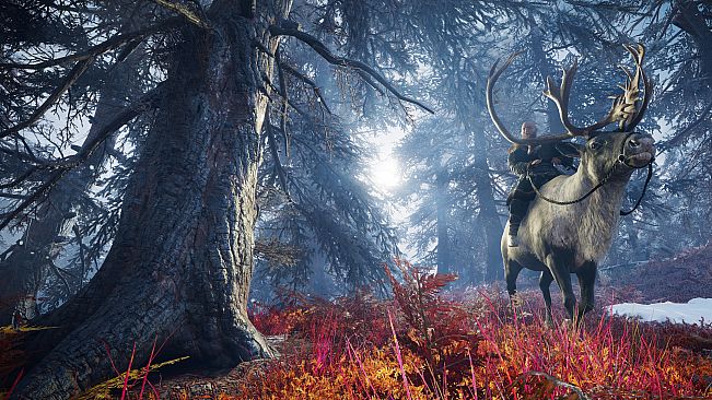 Discovery Tour: Viking Age