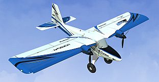 RealFlight Evolution - 2023 Year Content Pass