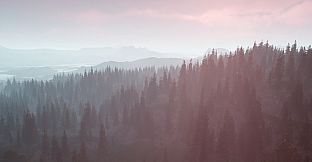 Wildwood: Hearth & Horizon