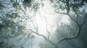 Wakamarina Valley, New Zealand