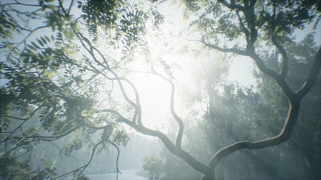 Wakamarina Valley, New Zealand