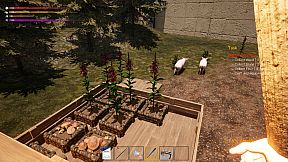 The Maze Survivor: The 9th Entrants