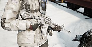 Vigor - DayZ Frostline Pack