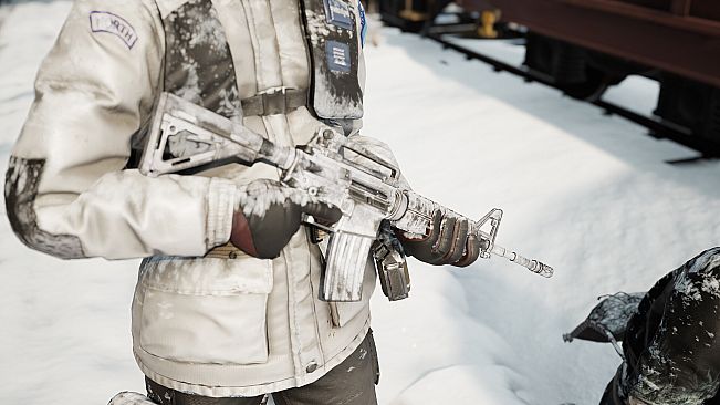 Vigor - DayZ Frostline Pack