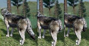 WolfQuest Anniversary - Building Character Pack