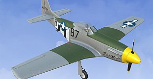 RealFlight Evolution - 2025 Year Content Pass