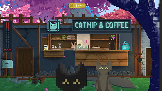 Catnip & Coffee