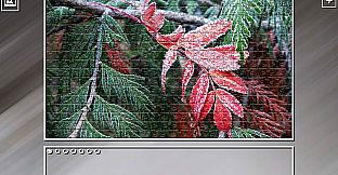 Super Jigsaw Puzzle: Generations - Forests