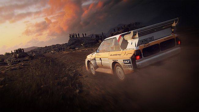 DiRT Rally 2.0 (Windows)
