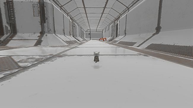 Kitten Super Adventure