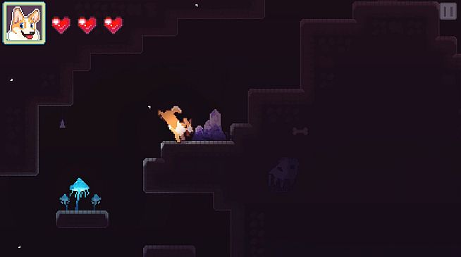 TailScape: The corgi’s Advendture