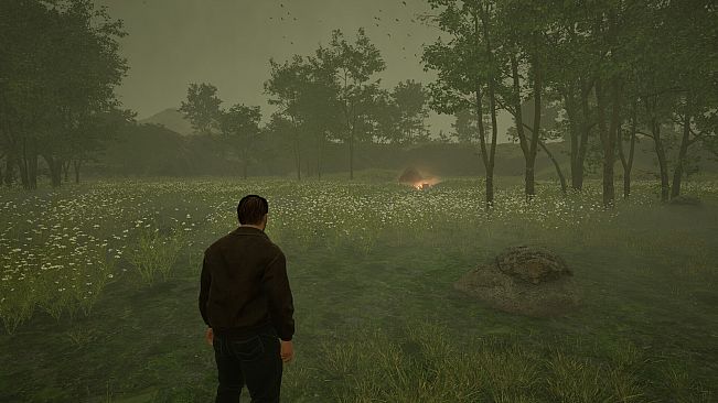 Island of the Missing