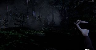 Still Rain: The Arrival