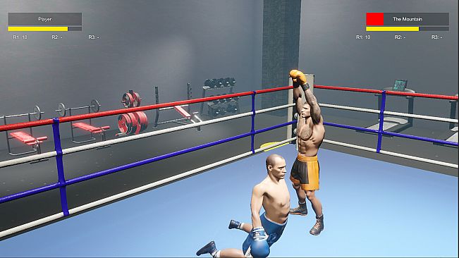 Boxing Life Simulator