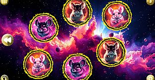 Space Memory: Chinchillas