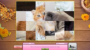 I Love Finding MORE Cats