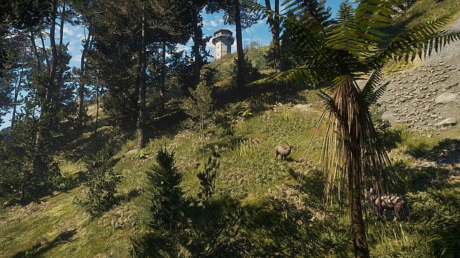 theHunter: Call of the Wild - Te Awaroa National Park