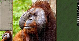Jigsaw Puzzle Pack - Pixel Puzzles Ultimate: Primates