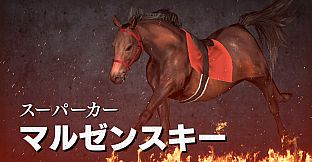 WP9 2022 スーパーカーと70年代個性派ホースたち 購入権セット 全４頭