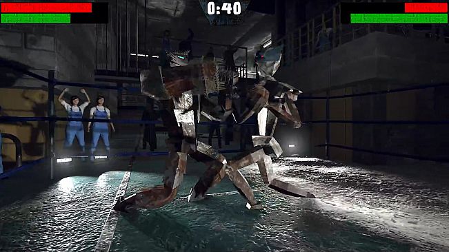 Iron Fury: Robot Boxing