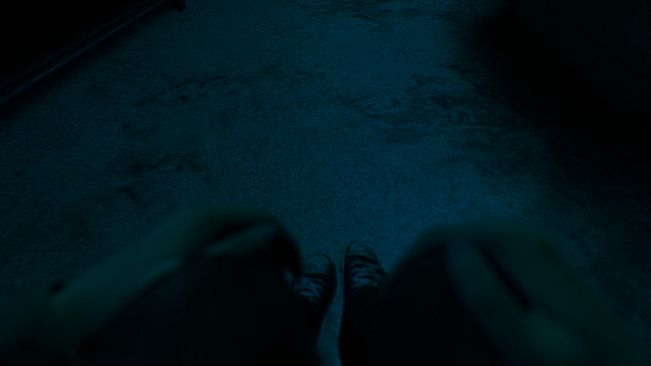 Eternity's Echo: Patient Zero