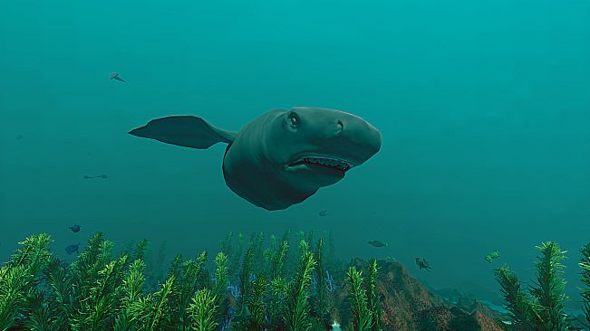 Ecosystem - Tropical Fish Pack