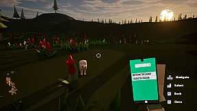 Dog Walking Adventures